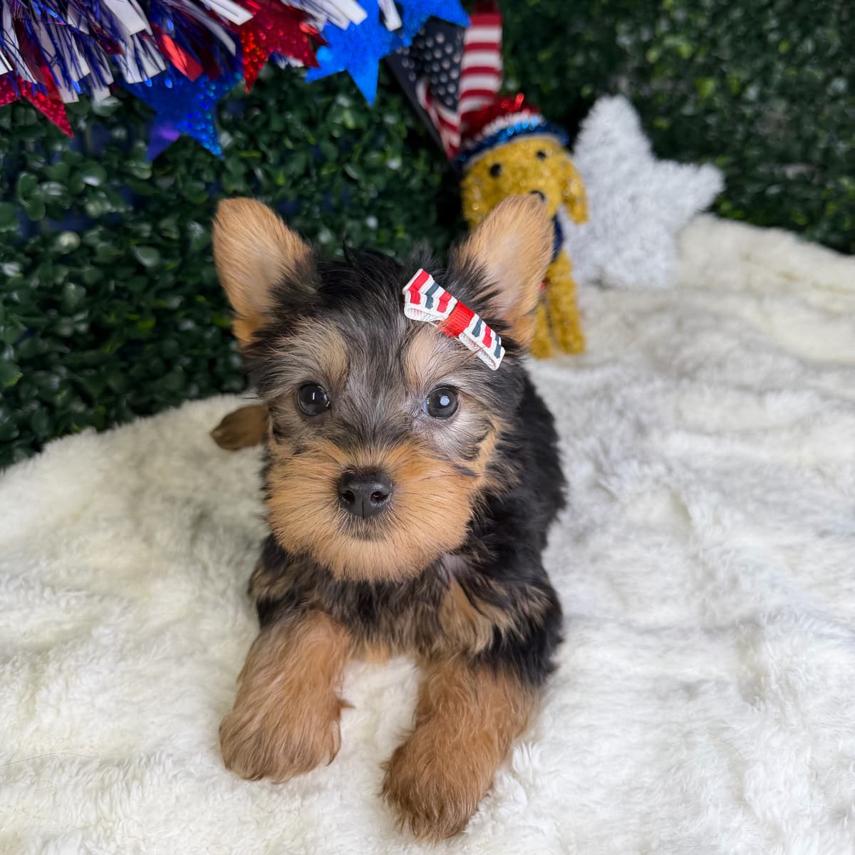 Millie - 2